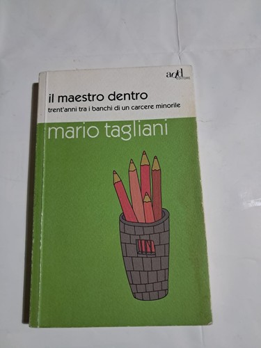 Libro maestro dentro mario - libro, il